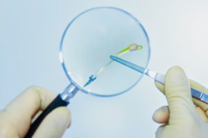 Scientist holding a sprout under a magnifying glass